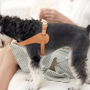 JAX Harness Microfiber Leather